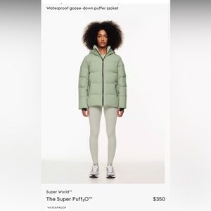 Aritzia super puff waterproof